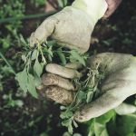 jardinage prévention blessures